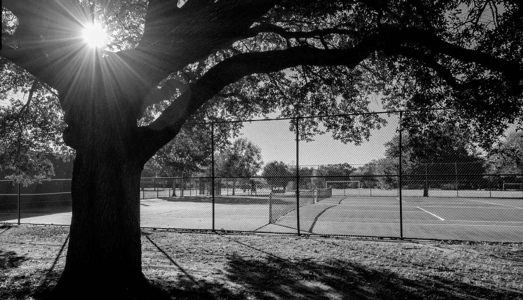 Best Public Tennis Courts in Houston, TX