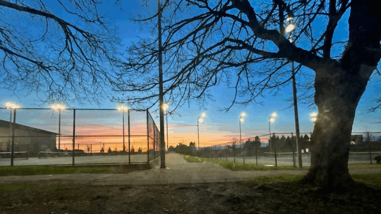 10 Best Public Tennis Courts in Seattle